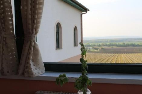 Hotel Vinohrad Milotice Exterior photo